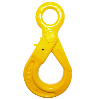 Grade 80 Eye Auto Lock Hooks