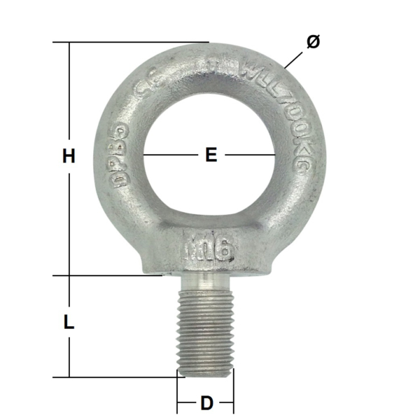 M24 Stainless Steel Load Rated Eye Bolt Generally to DIN 580